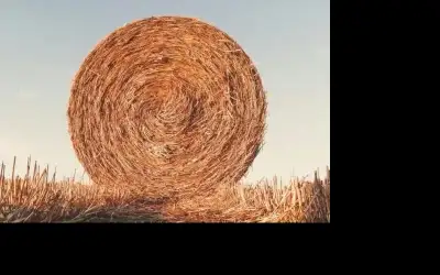 إنتاج وقود حيوي من القش