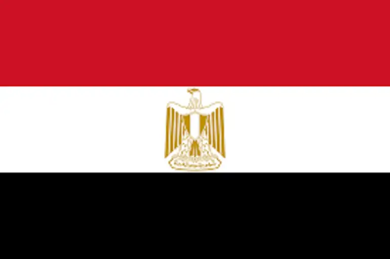 مصر ترحب بالرأي الاستشاري لمحكمة العدل
