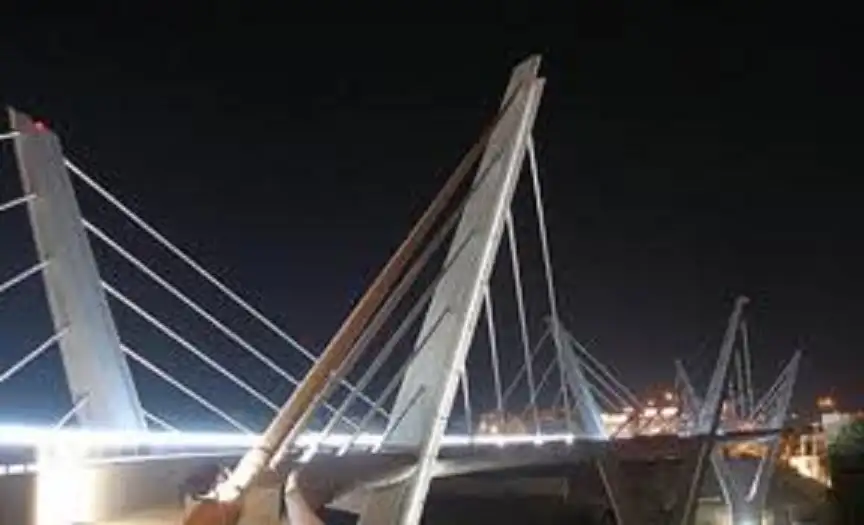 شخص من جنسية عربية يقتل شقيقيه