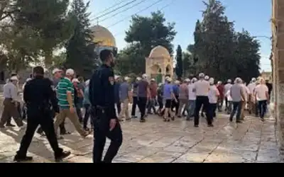 مستوطنون متطرفون يقتحمون الأقصى بحراسة شرطة