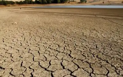 دراسة صادمة: 284 يورو كلفة آثار