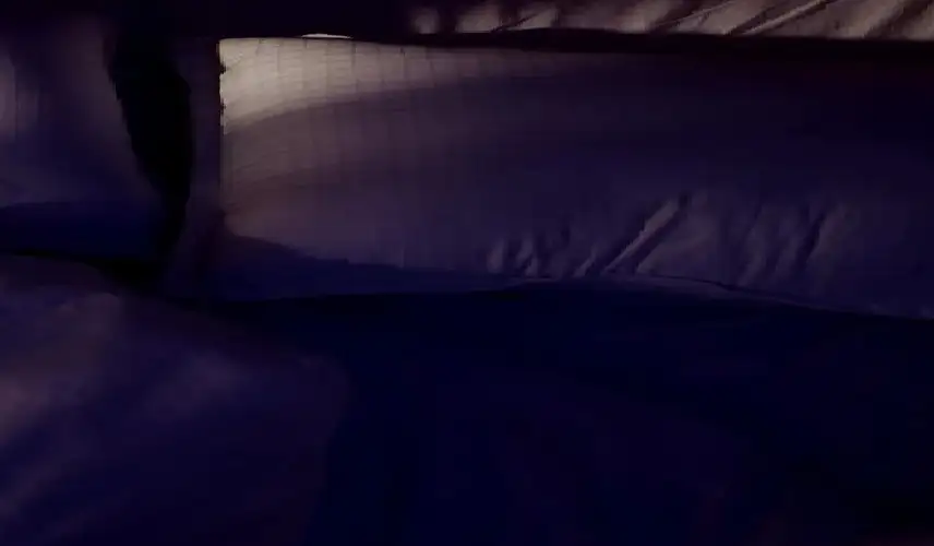 النوم فترات مختلفة كل ليلة يرتبط