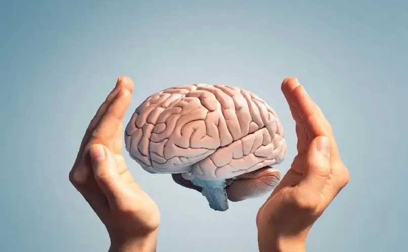 يوم الدماغ العالمي 2024.. 5 نصائح