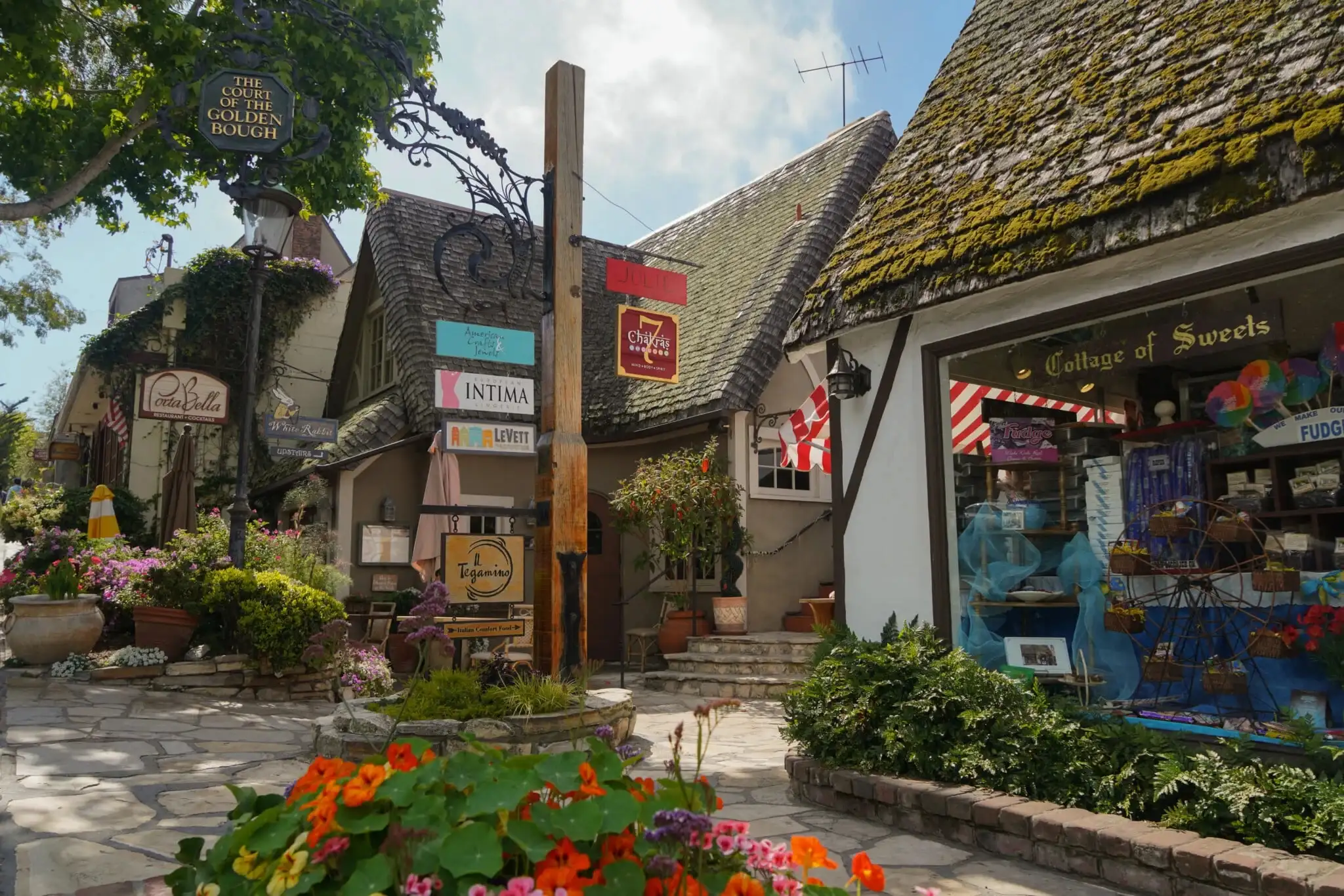 بعد 100 عام.. . مدينة كارميل