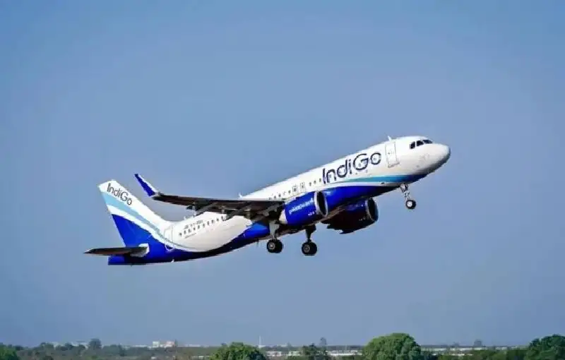 هذه هي أول شركة طيران تسمح