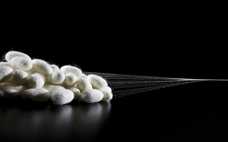 إيجاد حلول طبيعية لتجديد الجلد والعظام