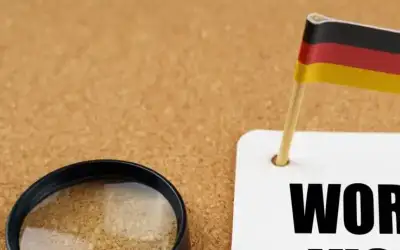 ألمانيا تصدر أكثر من 80 ألف