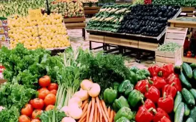 إرتفاع الصادرات الزراعية الأردنية إلى نصف
