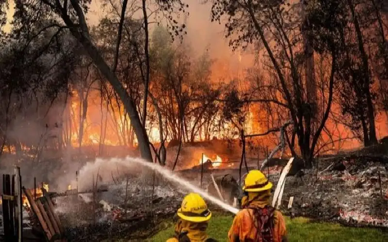 4 آلاف إطفائي ومروحيات وطائرات يصارعون