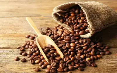 لصباغة الشعر أو التخلص من الروائح