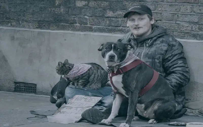 المشردون في لندن نصفهم بريطانيون.. لماذا