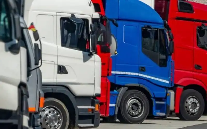 التخليص على 1300 رأس قاطرة من