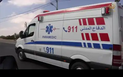 الأمن : 219 وفاة خلال العام