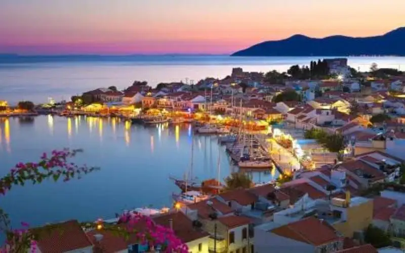 ضبط كميات كبيرة من لحوم الكلاب