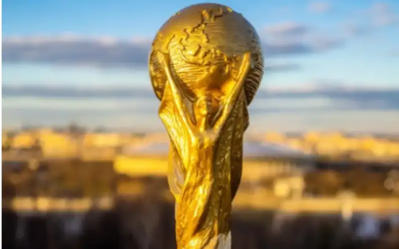 فيفا يتسلم ملف تنظيم كأس العالم