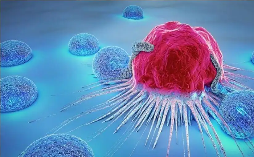 علماء يكتشفون بكتيريا قادرة على إذابة