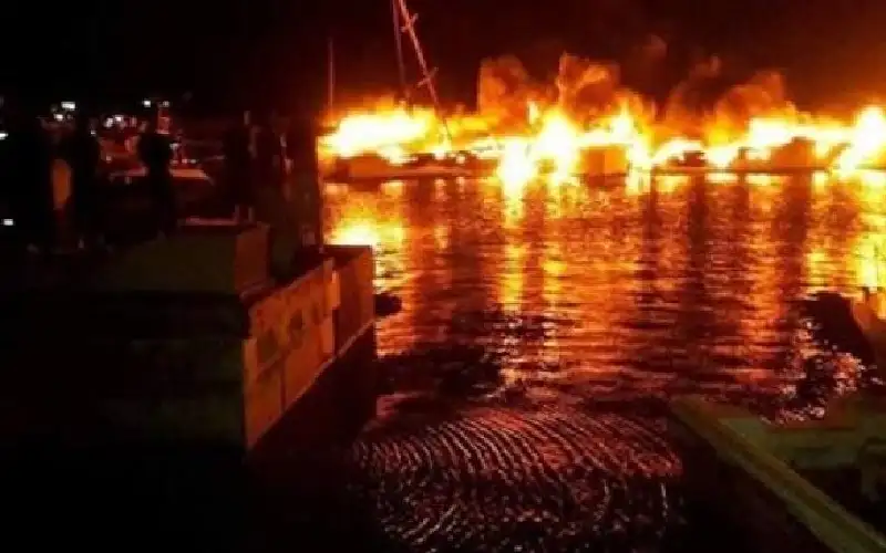 ملايين تبخرت.. فيديو لحريق هائل يلتهم