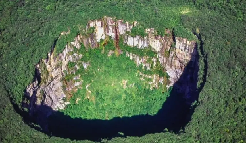 في الصين.. غابات مخفية في الحفر