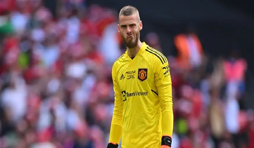 دي خيا.. عنكبوت دون خشبات