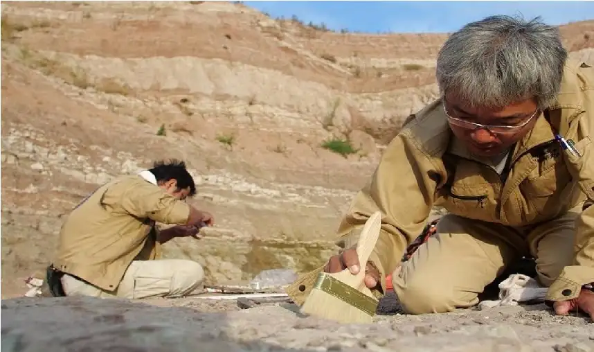 الصين.. العثور على يرقة قديمة متحجرة