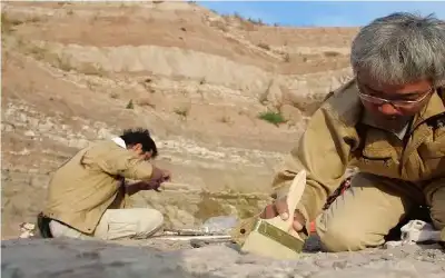 الصين.. العثور على يرقة قديمة متحجرة