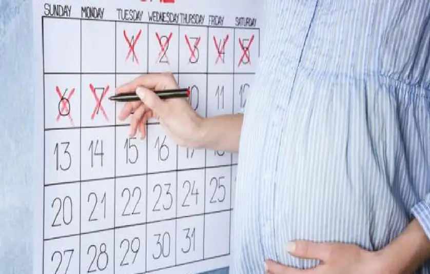 كيفية حساب فترة الحمل بدقة