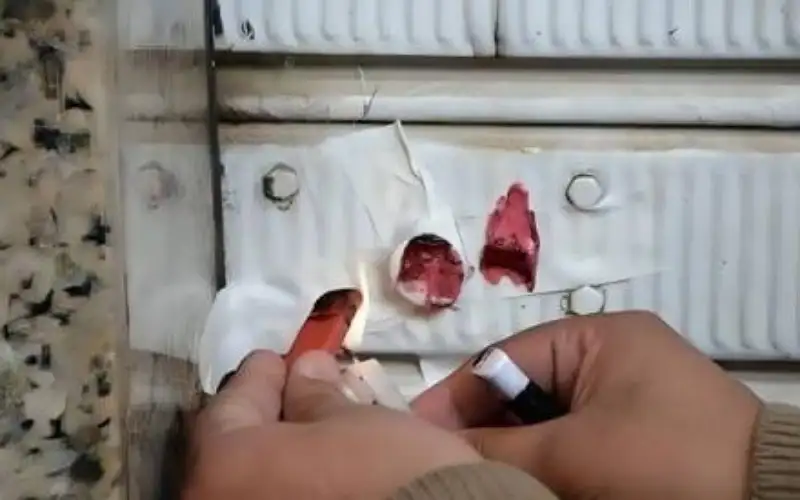 مخالفات صحية .. بلدية إربد تغلق