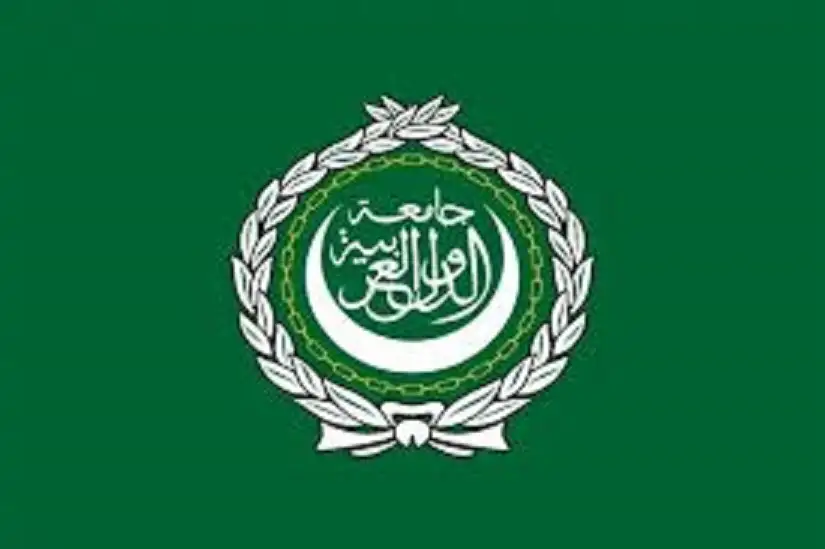 الجامعة العربية تشدد على ضرورة توفير