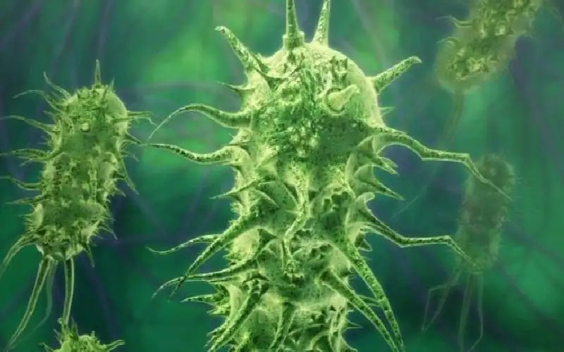 يوم سقوط البكتيريا آكلة اللحم.. ماذا