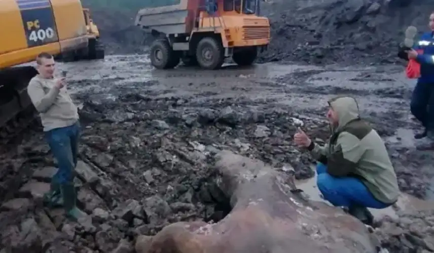 منقبون عن الذهب يعثرون على كنز