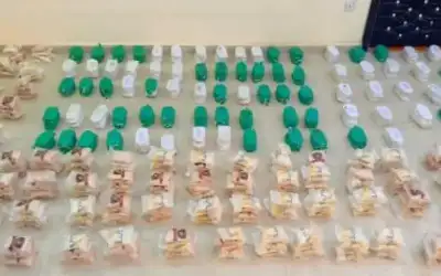 المنطقة العسكرية الشرقية تحبط محاولة تسلل