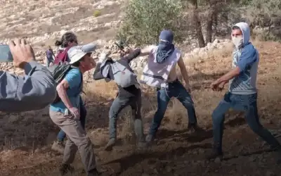 مستوطنون يعتدون على مواطن ومتضامن أجنبي