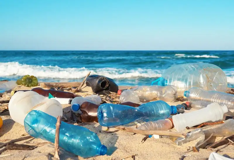 فطريات تأكل البلاستيك.. بارقة أمل لتقليص