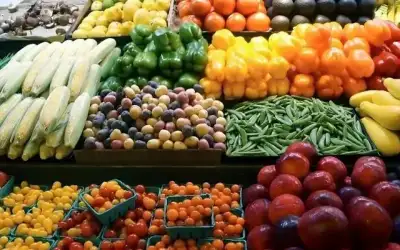 المصدرين: الخضروات والفواكه الاردنية خالية من