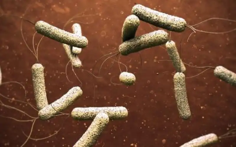 الزراعة تؤكد خلو مياه وتربة سد