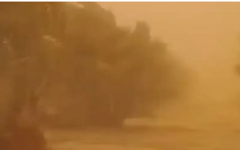 عاصفة ترابية شديدة تعيق الرؤية تضرب