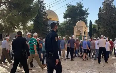 مستوطنون يقتحمون المسجد الأقصى