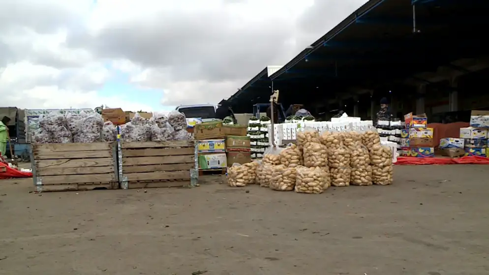 4445 طنا من الخضار والفواكه وردت