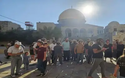 800 مستوطن يقتحمون المسجد الأقصى في