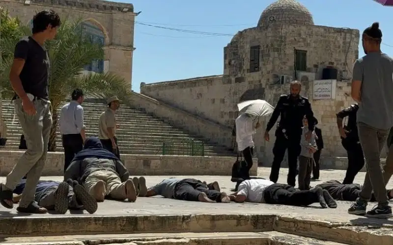 ماذا بعد (السجود الملحمي) في الأقصى؟