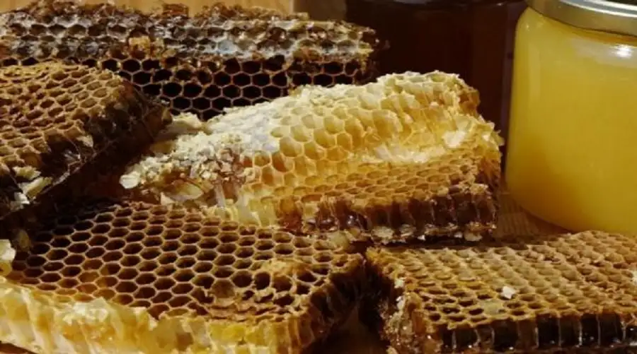 أقدم حلوى وأكثرها فائدة للجسم