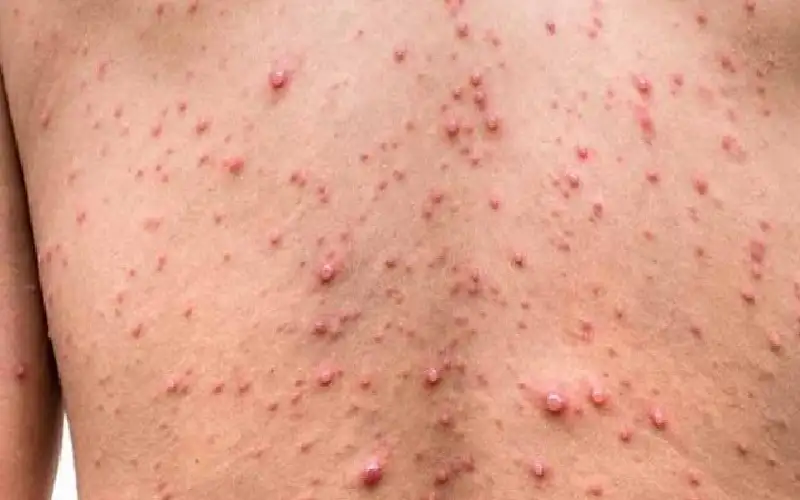 أشهر 5 علماء ساهموا في اكتشاف