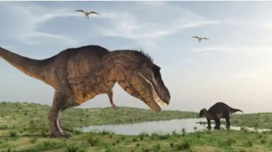 كويكب كربوني هو الذي قضى على