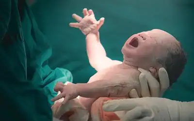 زراعة الرحم تحقق نتائج حمل إيجابية