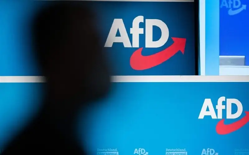 محكمة تلزم أعضاء البديل الألماني بتسليم