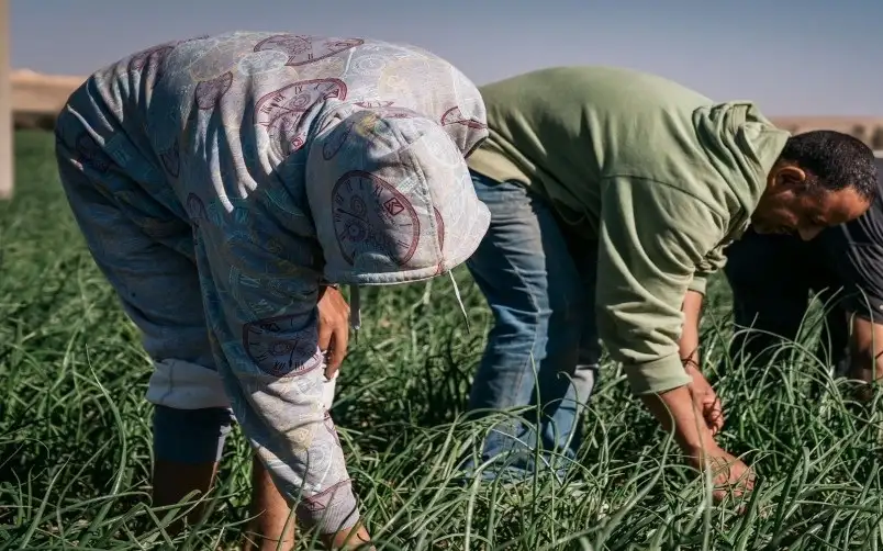 إقراض 295 مزارعا بقيمة 2.616 مليون