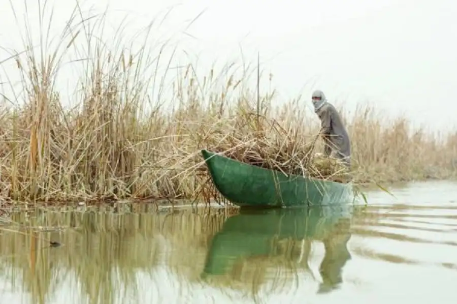الجفاف يضرب أهوار العراق وخشية من