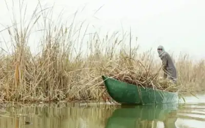 الجفاف يضرب أهوار العراق وخشية من