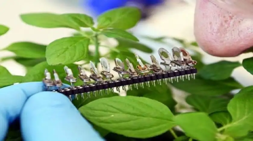 روسيا .. ابتكار أنف إلكتروني لتقييم