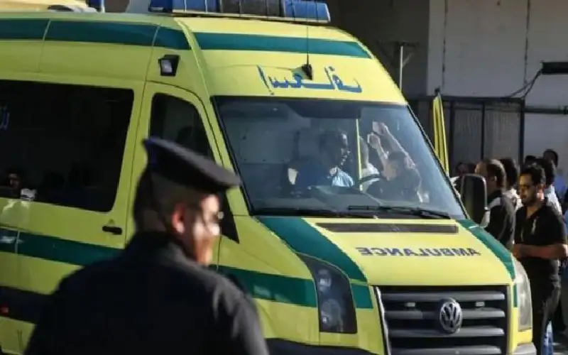 جريمة منيا القمح في مصر.. 5